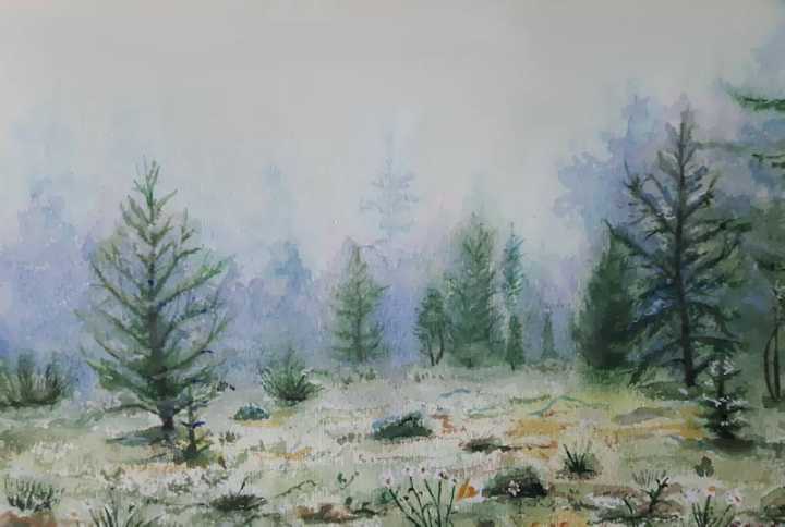 �����, ���� �� �����������.