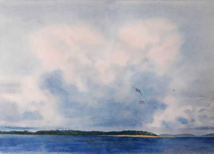 �������� (2). ��������.