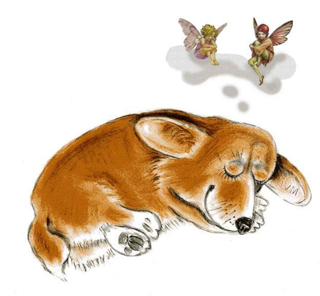 ��� �������. �������.