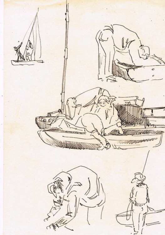 ���� ����������