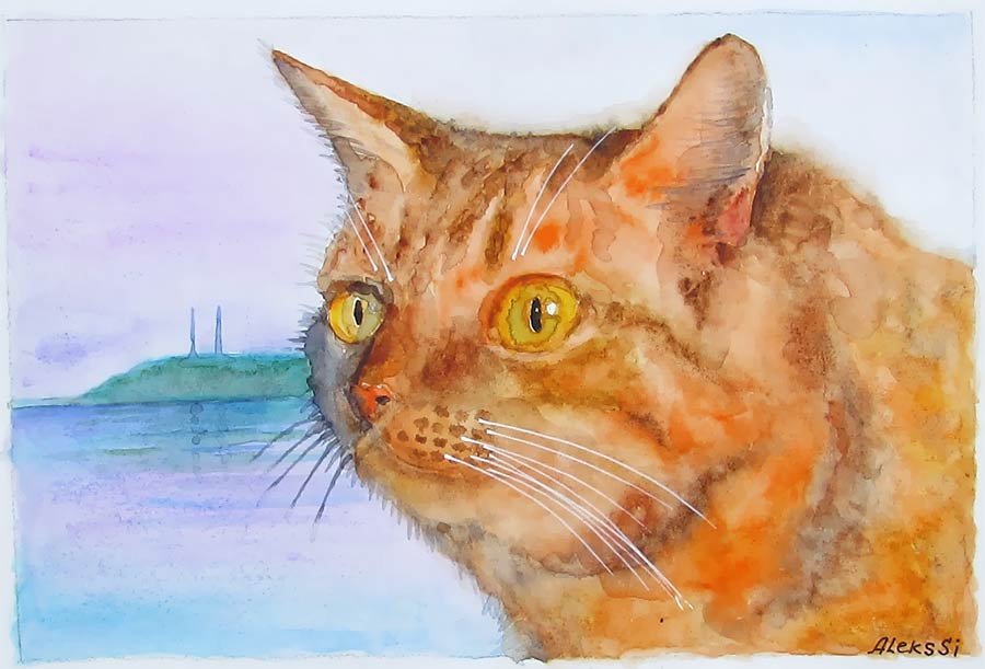 ����� ��� �� �����