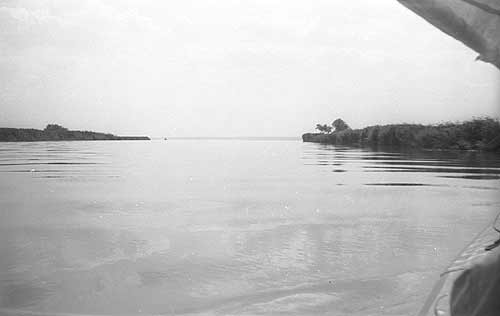 ������ �����-�� ������, �����, �������� � ����� ��� �������?