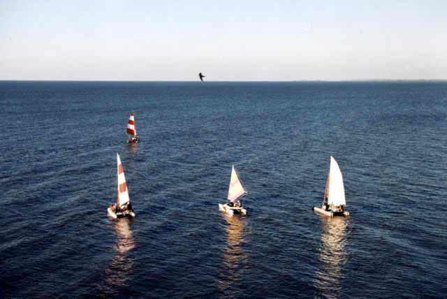  5- 