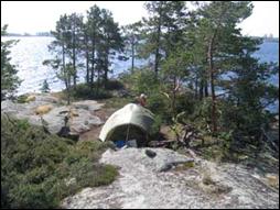 Upper place, in labour (11 h 9/08/2005)