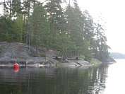 Juuvinsaari