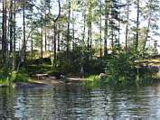   Petrosaari