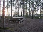   Ilkonsaari