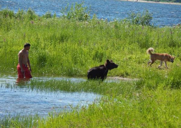 Отчет о парусном походе по реке Волге от Нижнего Новгорода до Волгограда