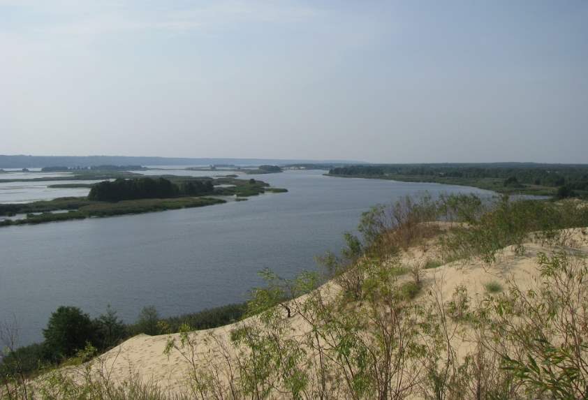 В августе на острова Каневского водохранилища