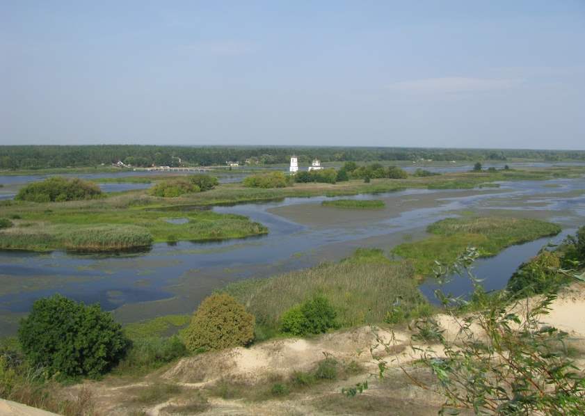 В августе на острова Каневского водохранилища