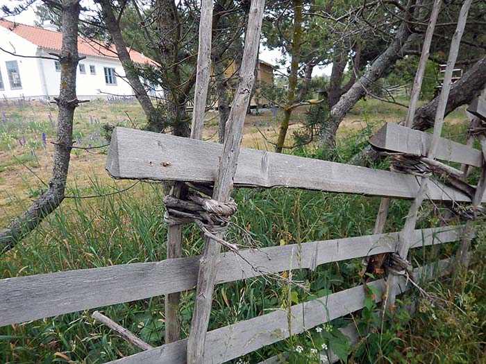Забор по-готландски.
