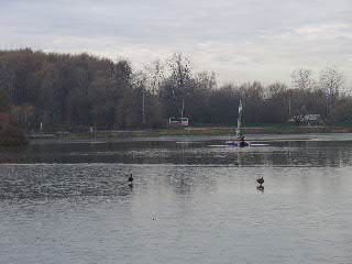 261